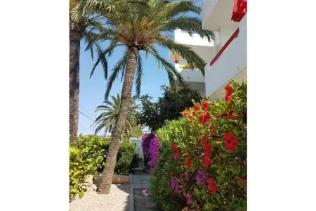 Maison 1 chambre à 600m de la plage à Cala Millor : photo 25