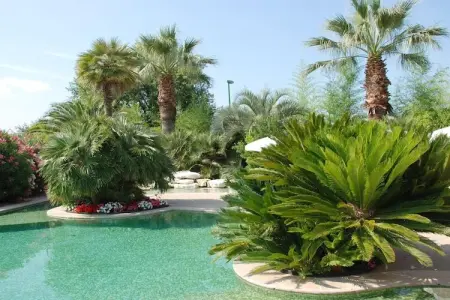 Villa La Colle Belle à Carros, piscine et spa : photo 15
