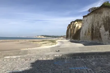 Maison 6 chambres à Varengeville-sur-Mer, jardin 2000 m² : photo 26