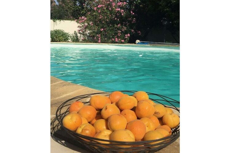 La Petite Récré : maison 4 chambres avec piscine à Domazan - Photo 38