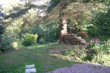 Villa 6 personnes à Varengeville, jardin centenaire : photo 8