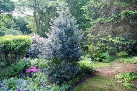 Villa 6 personnes à Varengeville, jardin centenaire : photo 10