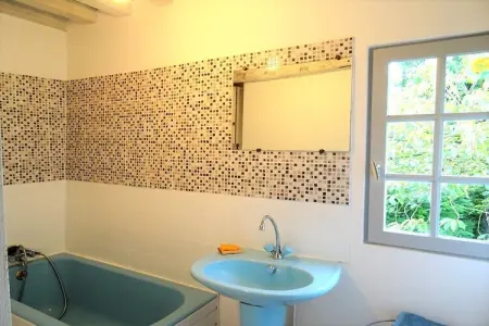 La Chaumière Bleue, maison XVIe-XVIIe à Saint Pierre le Vieux : photo 28