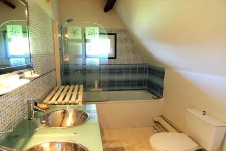 La Chaumière Bleue, maison XVIe-XVIIe à Saint Pierre le Vieux : photo 30