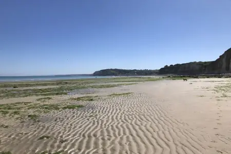 L'Abri Côtier : maison 6 pers. à 200 m de la plage : photo 37