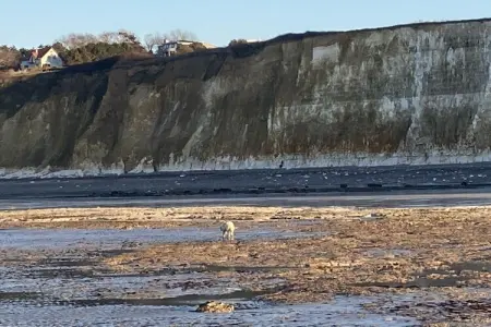 Maison Petites Bruyères à Varengeville, 8 personnes : photo 26