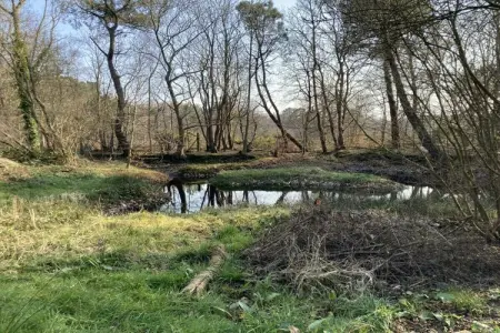 Maison Petites Bruyères à Varengeville, 8 personnes : photo 34