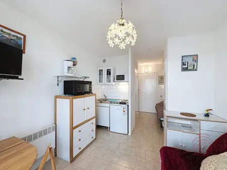 Studio 17 m² animaux acceptés à Lamalou-les-Bains : photo 4