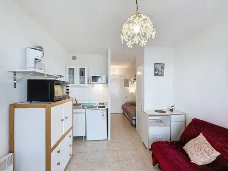 Studio 17 m² animaux acceptés à Lamalou-les-Bains : photo 7