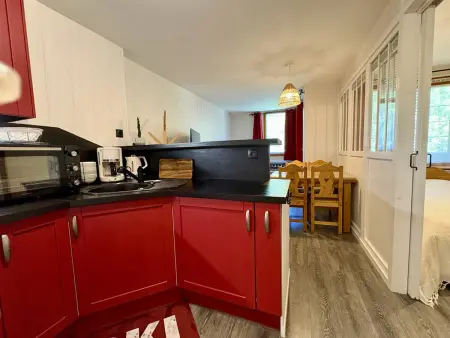 Appartement 4 pers. avec balcon, accès direct aux pistes : photo 1