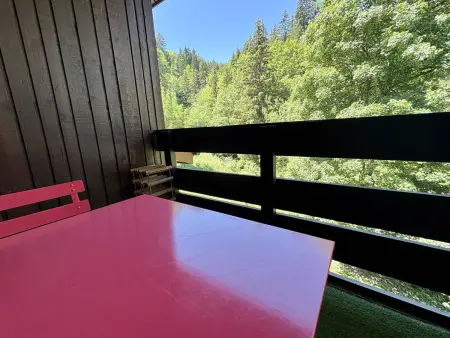 Appartement 4 pers. avec balcon, accès direct aux pistes : photo 16