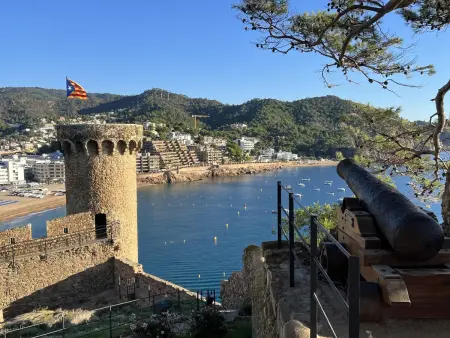 Panoramic View Apartments 2 - Tossa de Mar : photo 24