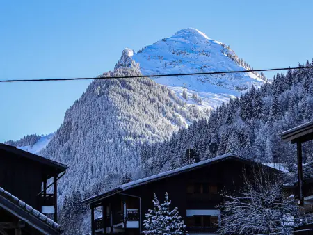 Appartement 2 pièces centre Morzine, 4 personnes : photo 9
