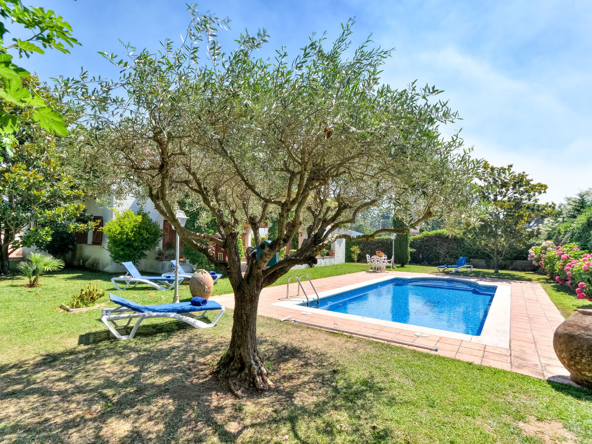 Quietud, maison 6 pers. avec piscine à Santa Cristina d'Aro - Photo 45