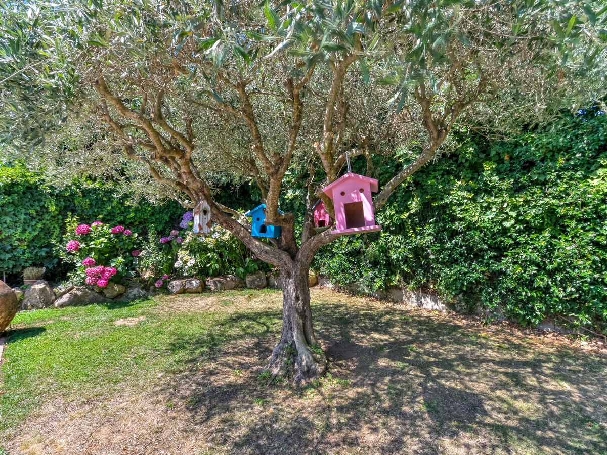 Quietud, maison 6 pers. avec piscine à Santa Cristina d'Aro - Photo 50