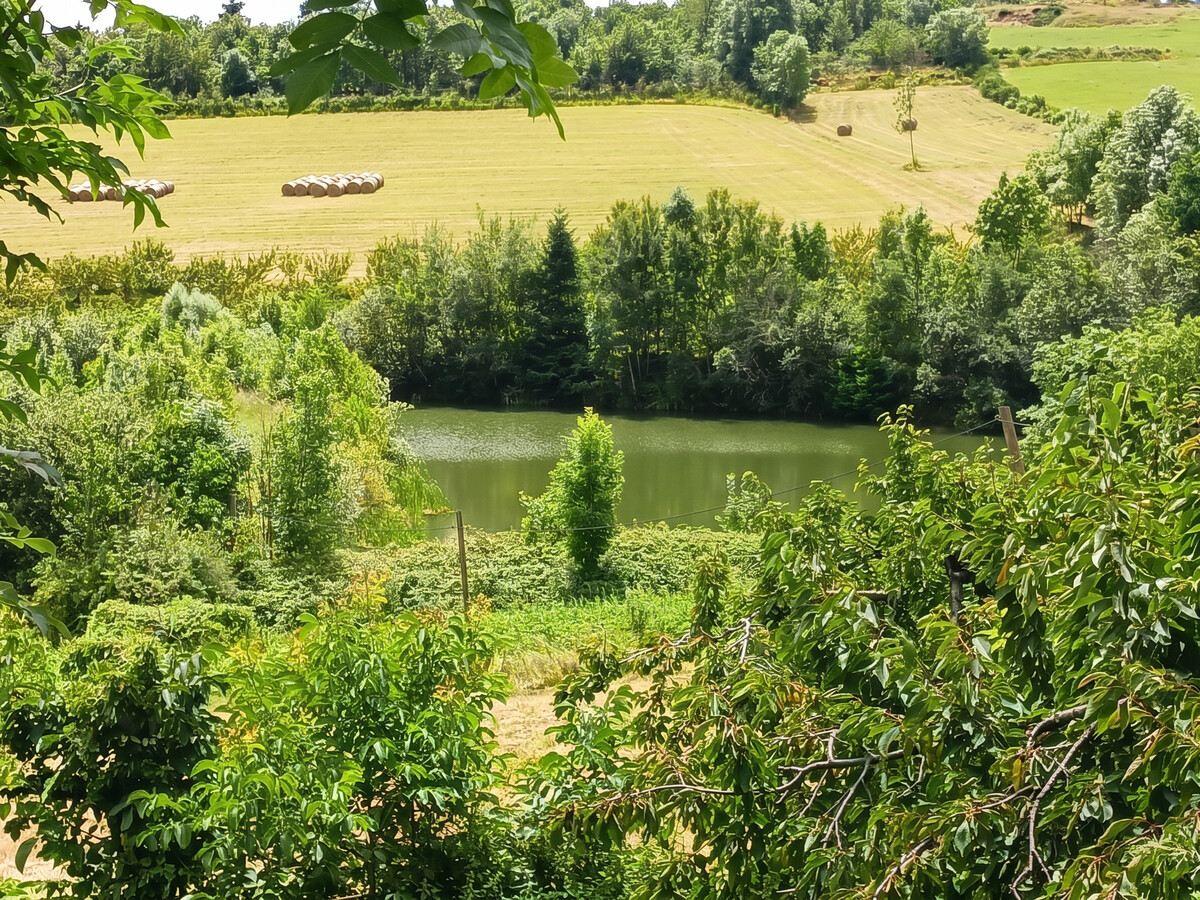 Maison 70 m² Véranne, terrasse avec vue jardin - Photo 17