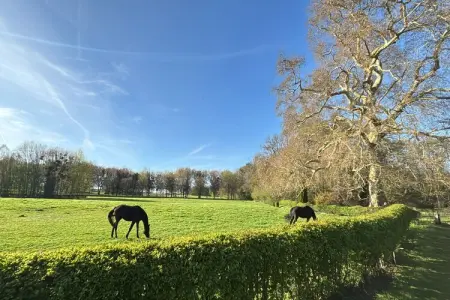 Hoefke Voort, Hoefke Voort – Ferme paisible en Hesbaye pour 12 personnes - Photo 24