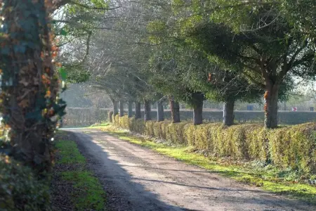 Hoefke Voort, Hoefke Voort – Ferme paisible en Hesbaye pour 12 personnes - Photo 28