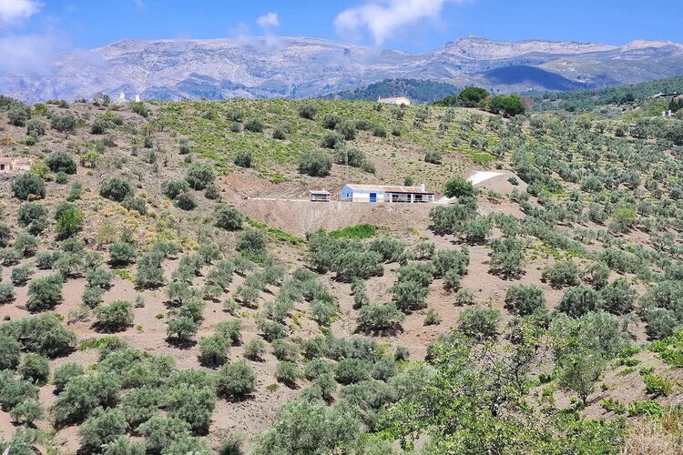 Villa Gabriel : maison 6 pers. vue côte Axarquía - Photo 40