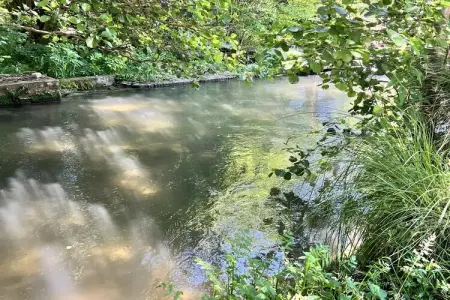 Maison 14 personnes au bord de l'eau à Saint-Germain sur Bresle : photo 28