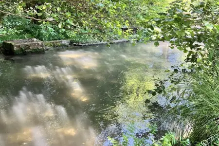 Maison 14 personnes au bord de l'eau à Saint-Germain sur Bresle : photo 30
