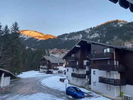 Appartement 2 pièces Châtel avec balcon et parking : photo 10