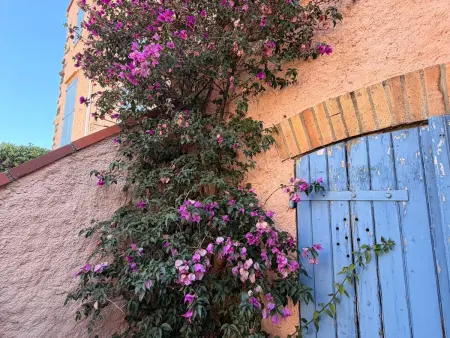 Maison climatisée proche centre - 4 pers., Maison 4 personnes à Banyuls sur Mer - Photo 21