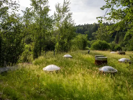 Le Nautilus, gîte steampunk semi-enterré à Raon-aux-Bois : photo 4
