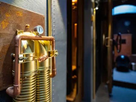 Le Nautilus, gîte steampunk semi-enterré à Raon-aux-Bois : photo 12
