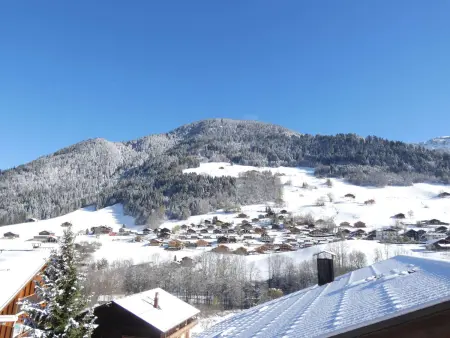 Duplex 48m² face au village, ski à 600m : photo 7