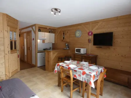 Studio 33m² animaux acceptés, ski bus gratuit : photo 1
