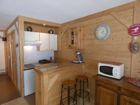 Studio 33m² animaux acceptés, ski bus gratuit : photo 2