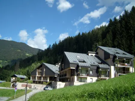 Studio 33m² animaux acceptés, ski bus gratuit : photo 4