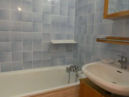 Studio 33m² animaux acceptés, ski bus gratuit : photo 6