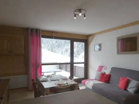 Studio 33m² animaux acceptés, ski bus gratuit : photo 7