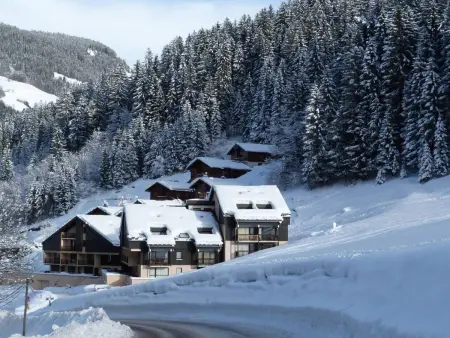 Studio 33m² animaux acceptés, ski bus gratuit : photo 8