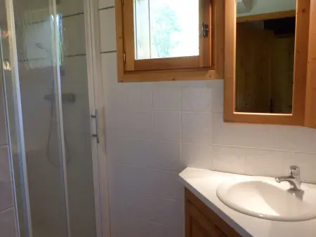 Appartement 8 pers. aux pieds des pistes à Arêches-Beaufort : photo 10