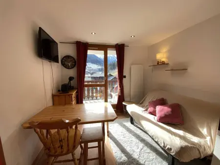 Appartement 2 pièces animaux acceptés à 350m des pistes : photo 1