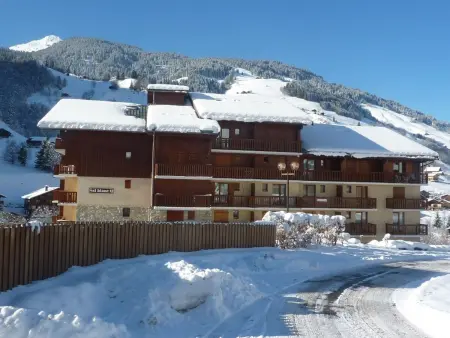 Appartement 2 pièces animaux acceptés à 350m des pistes : photo 4