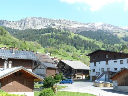 Appartement 2 pièces animaux acceptés à 350m des pistes : photo 7