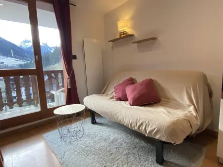 Appartement 2 pièces animaux acceptés à 350m des pistes : photo 9