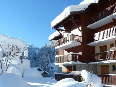Appartement 2 pièces animaux acceptés à 350m des pistes : photo 12