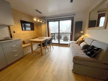 Appartement T2 28m² ski bus gratuit à 30m : photo 1