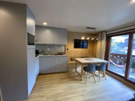 Appartement T2 28m² ski bus gratuit à 30m : photo 2