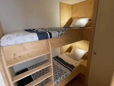 Appartement T2 28m² ski bus gratuit à 30m : photo 5