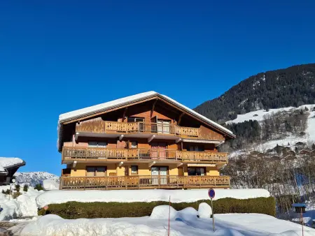 Appartement T2 28m² ski bus gratuit à 30m : photo 8