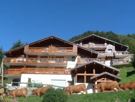 Appartement 4 pers. vue sud-ouest à Arêches-Beaufort : photo 4