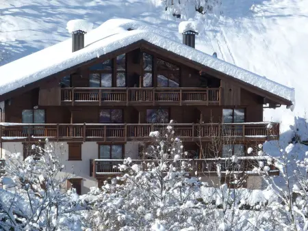 T2 32m² sud-est, 50m ski bus gratuit - Arêches : photo 4
