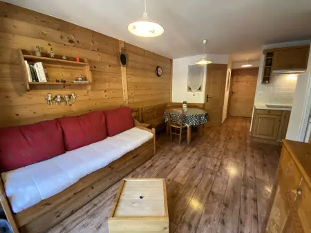 T2 32m² sud-est, 50m ski bus gratuit - Arêches : photo 7