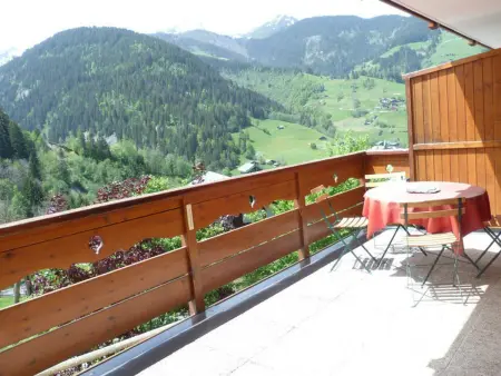 Appartement 31m² sud-ouest, balcon, ski bus à 100m : photo 3